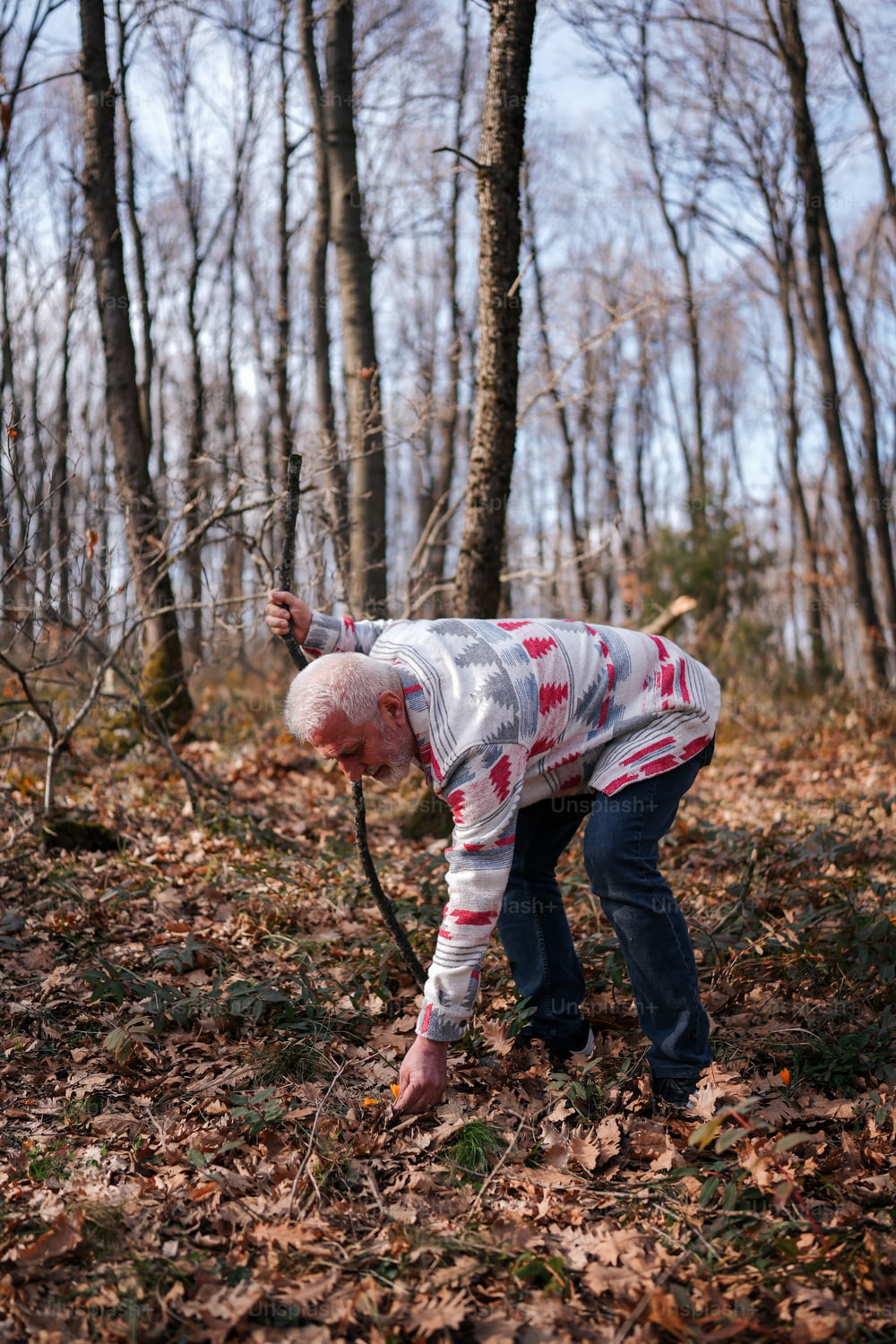 Ein alter Mann sammelt Blätter im Wald auf