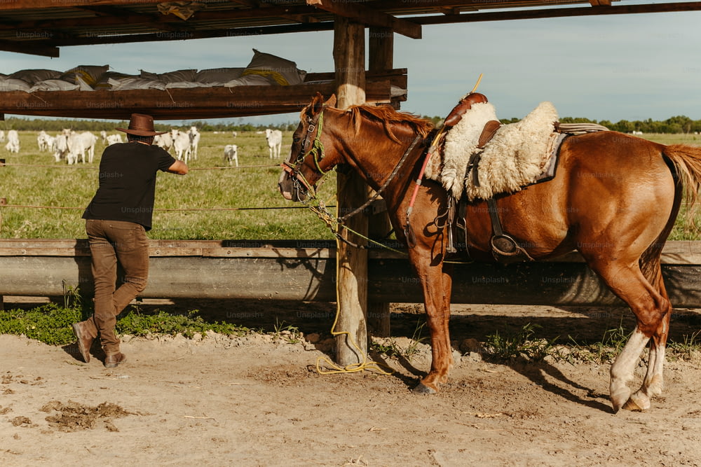 Un homme debout à côté d’un cheval brun