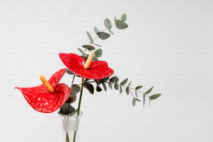deux fleurs rouges dans un vase aux feuilles vertes