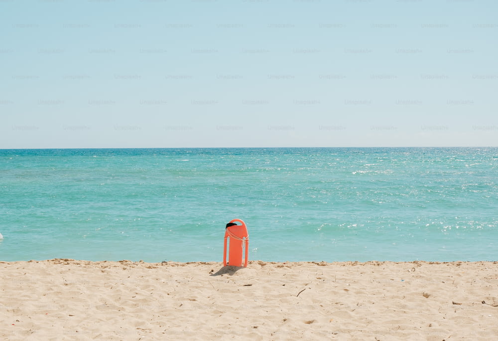 una boa rossa seduta sulla cima di una spiaggia sabbiosa
