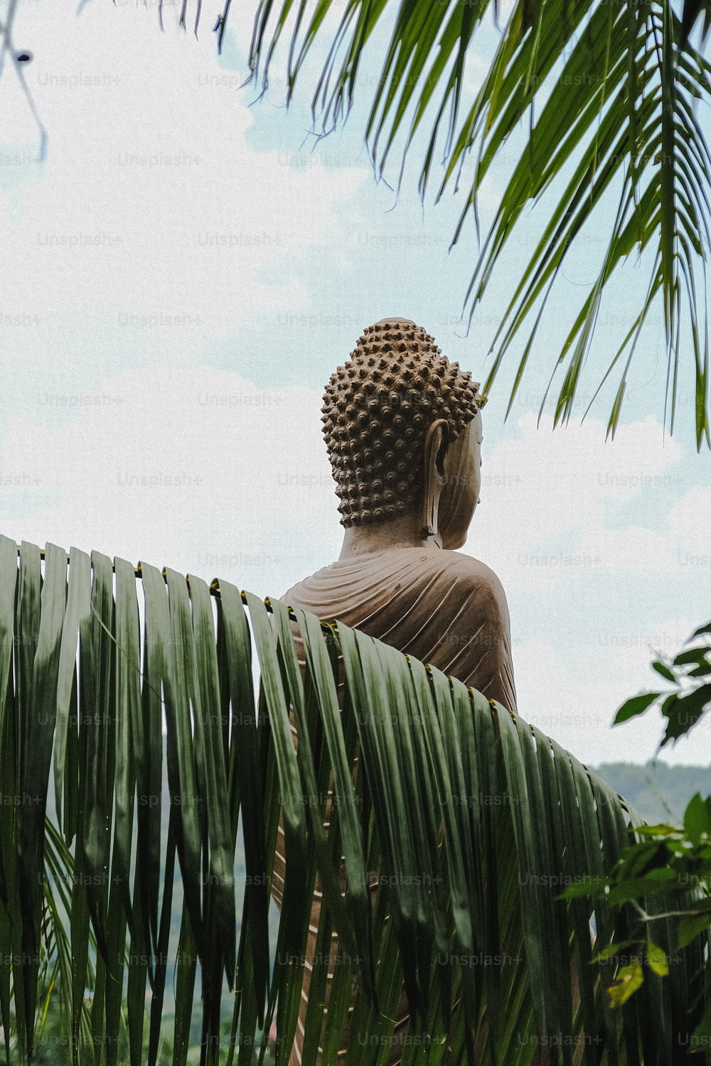Una statua di Buddha seduta in cima a un campo verde lussureggiante