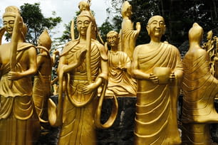 Un gruppo di statue dorate di Buddha in un parco