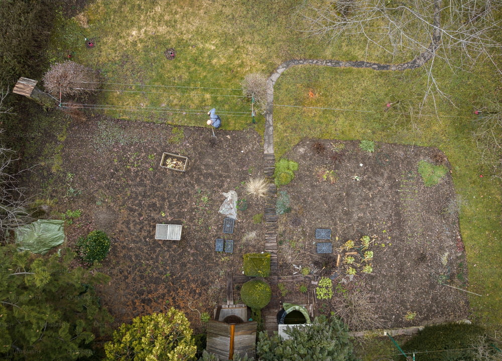 an aerial view of a yard with a lot of trees