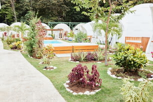un jardin avec une piscine au milieu