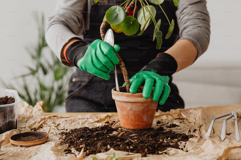 a person wearing gloves and gardening gloves is planting a potted plant