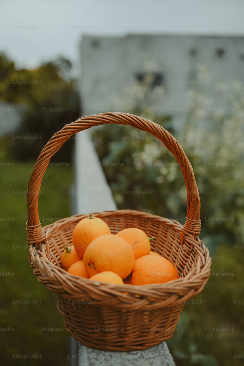 uma cesta de vime cheia de laranjas sentada em uma saliência