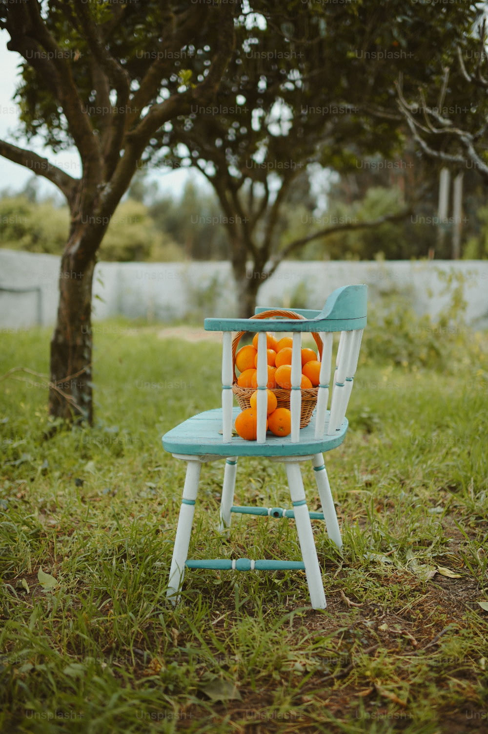 uma cadeira azul e branca com laranjas