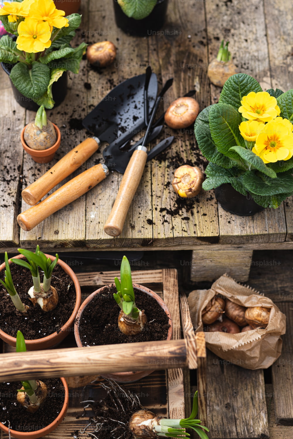 ein Holztisch mit Topfpflanzen und Gartenutensilien
