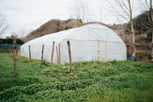 a large white greenhouse in a field of green grass