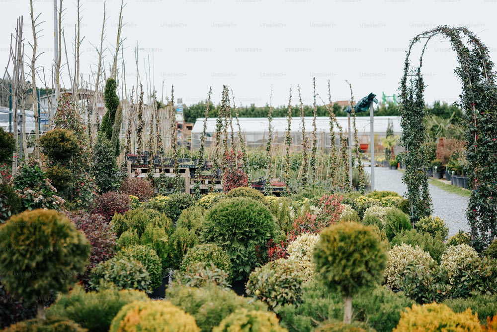 a garden with lots of trees and bushes