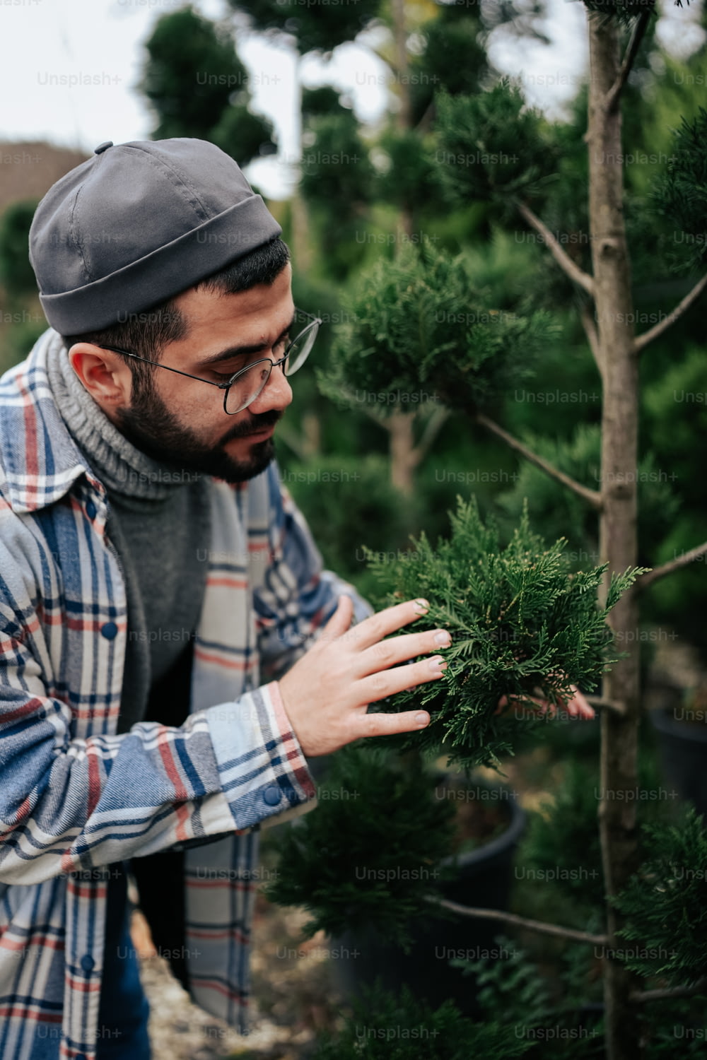 a man in a plaid shirt is picking a tree