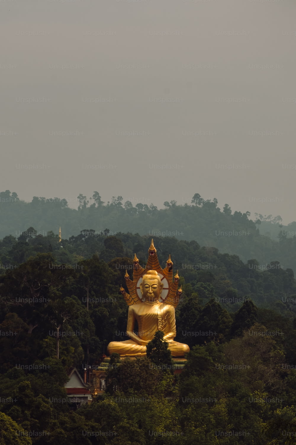 Una gran estatua dorada de Buda sentada en la cima de un exuberante bosque verde