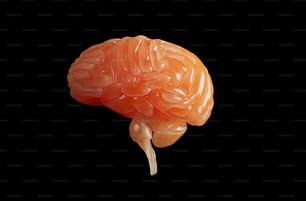 um cérebro plástico laranja em um fundo preto