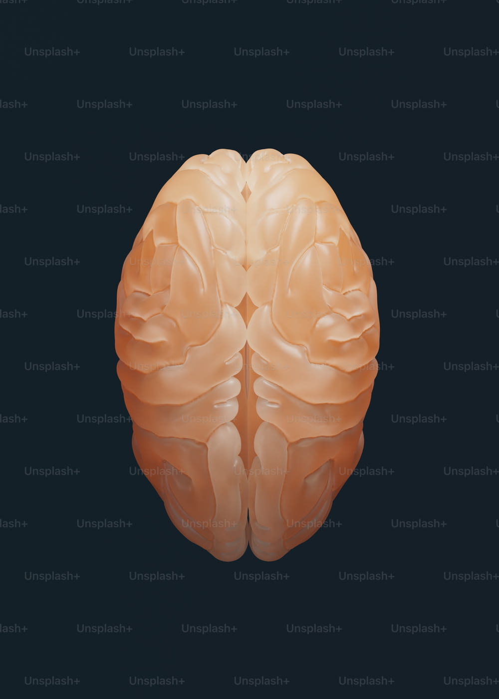 um close up de um cérebro humano em um fundo preto