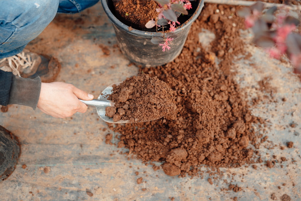 a person scooping dirt into a bucket
