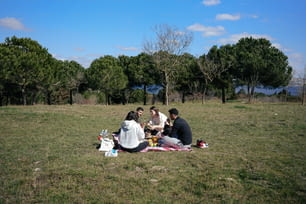 Un gruppo di persone sedute in cima a un campo coperto di erba