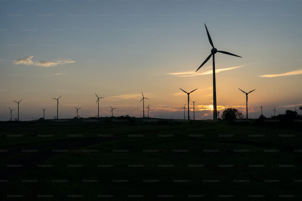 um grupo de moinhos de vento em um campo ao pôr do sol
