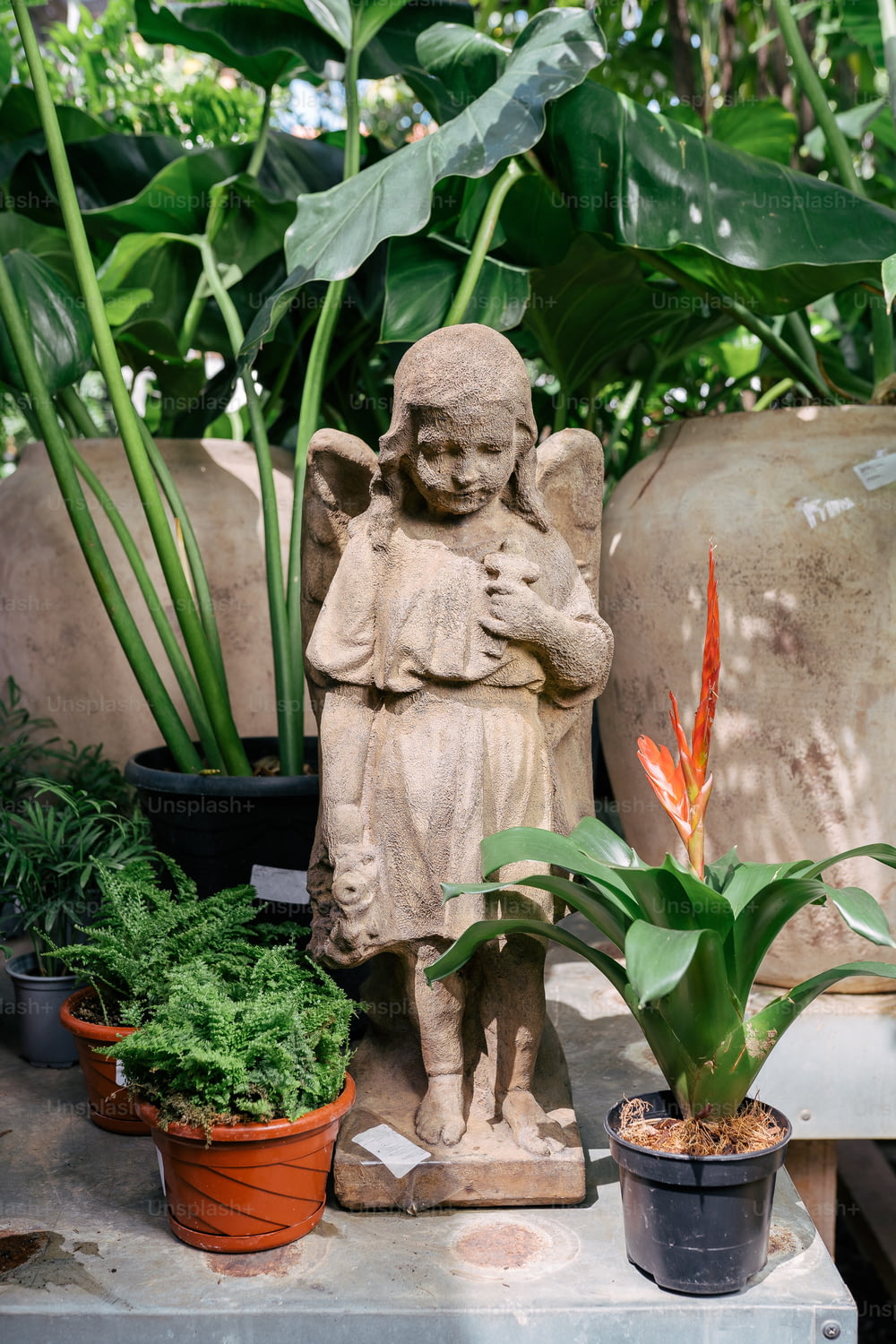 a statue of an angel surrounded by potted plants