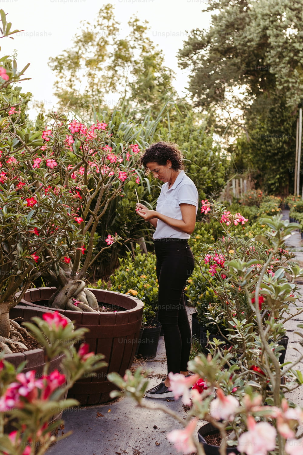 Una donna sta guardando il suo cellulare in un giardino