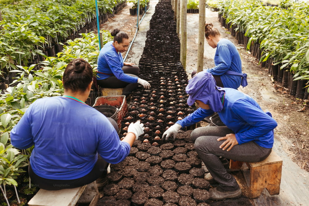 a group of people working in a greenhouse