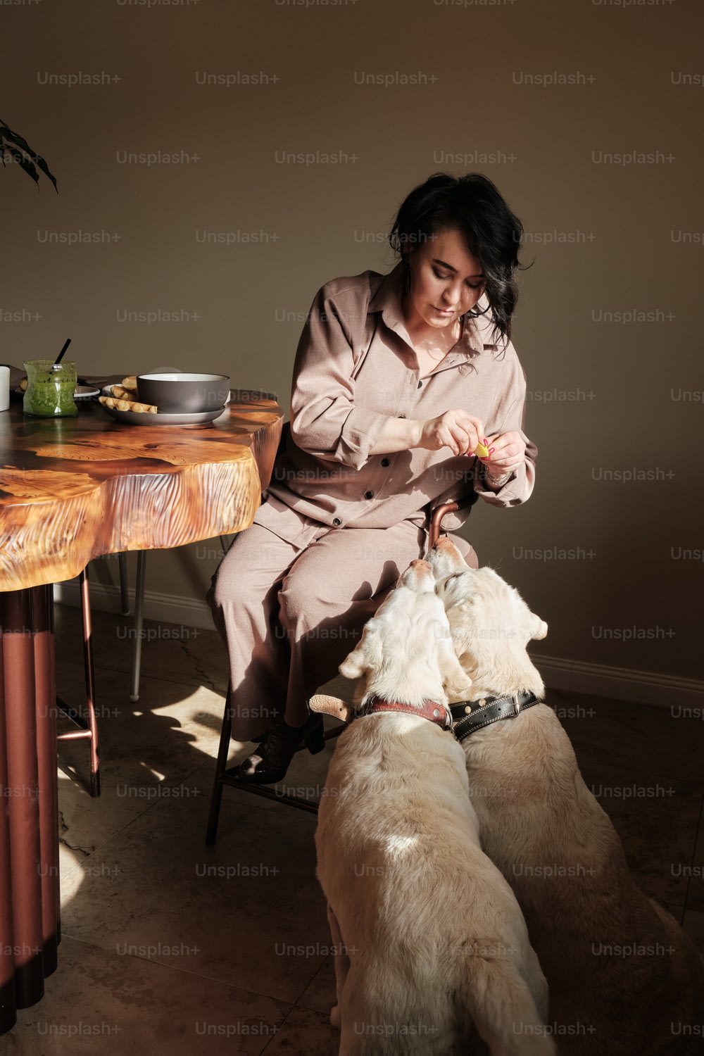 Une femme assise sur une chaise avec deux chiens