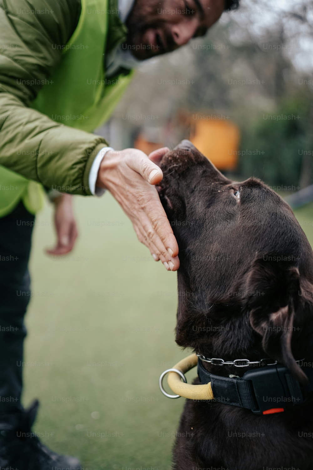 a man petting a dog on the nose