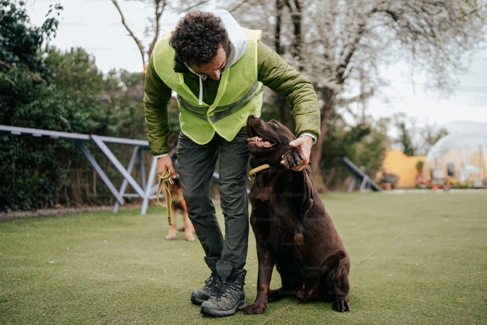 a man petting a brown dog on top of a lush green field