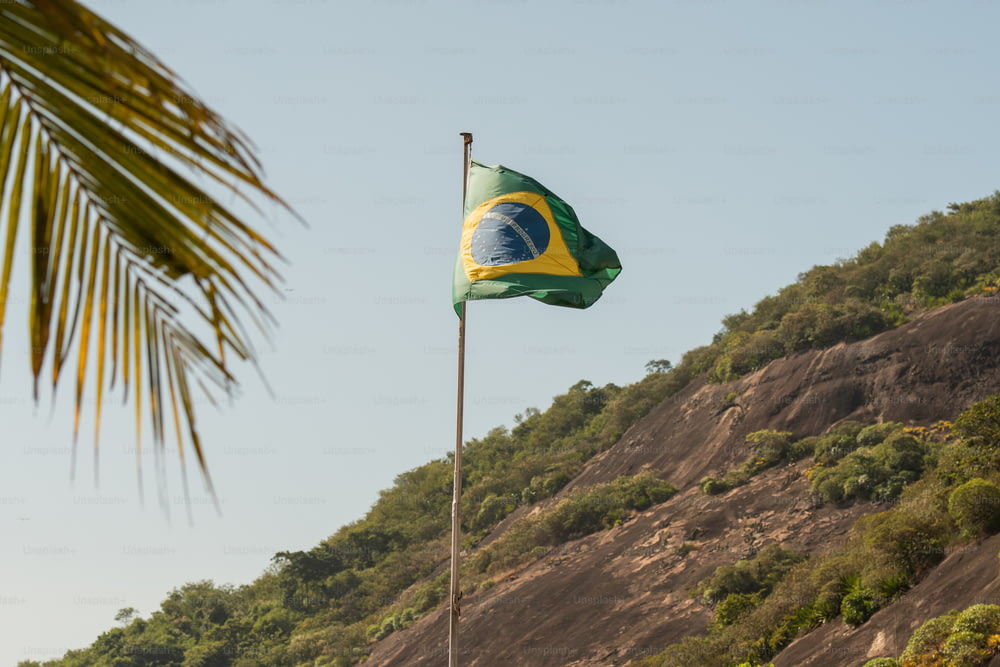 Un drapeau sur un poteau avec une montagne en arrière-plan