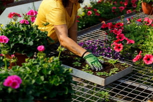 a woman working in a garden center with flowers
