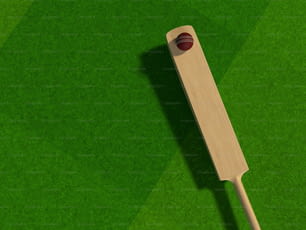 um taco de beisebol de madeira deitado em um campo verde