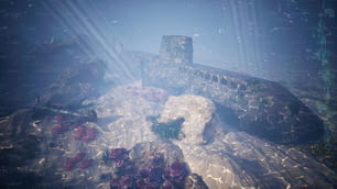 an underwater scene of a stone wall and flowers