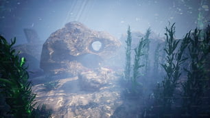 Une scène sous-marine avec des roches et des plantes