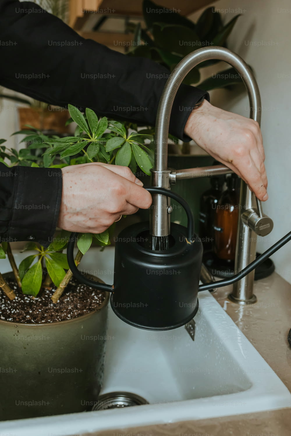 a person washing a potted plant in a sink