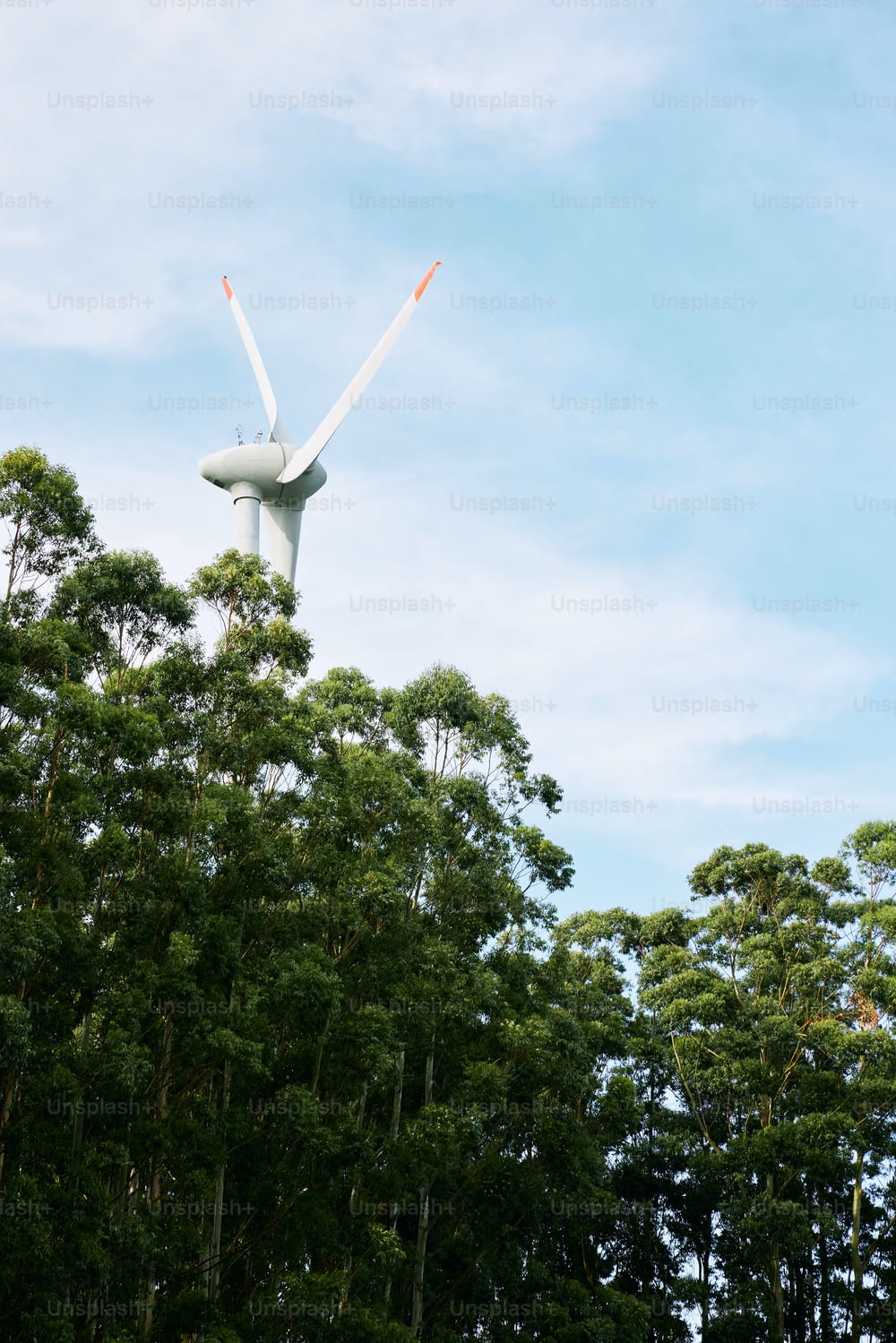 a wind turbine on top of a tall tree