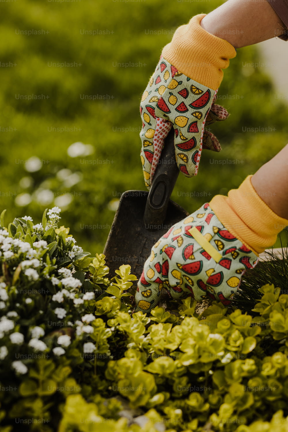 a person in a garden with gardening gloves on