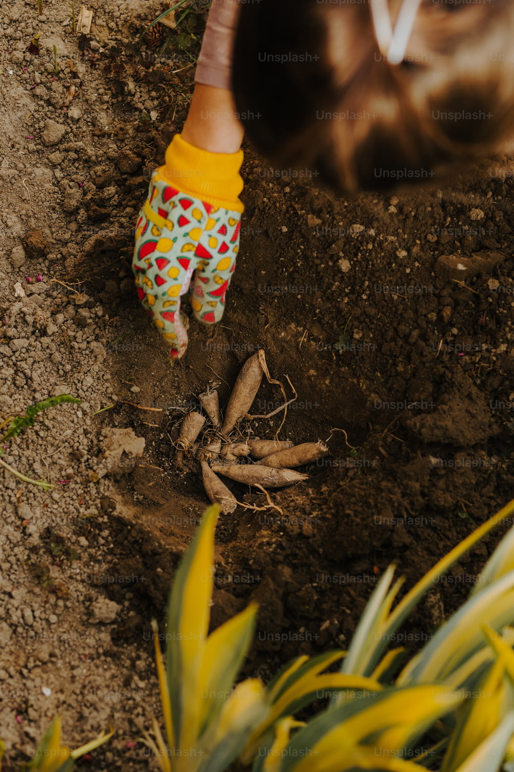 uma pessoa cavando na terra com um par de luvas de jardinagem