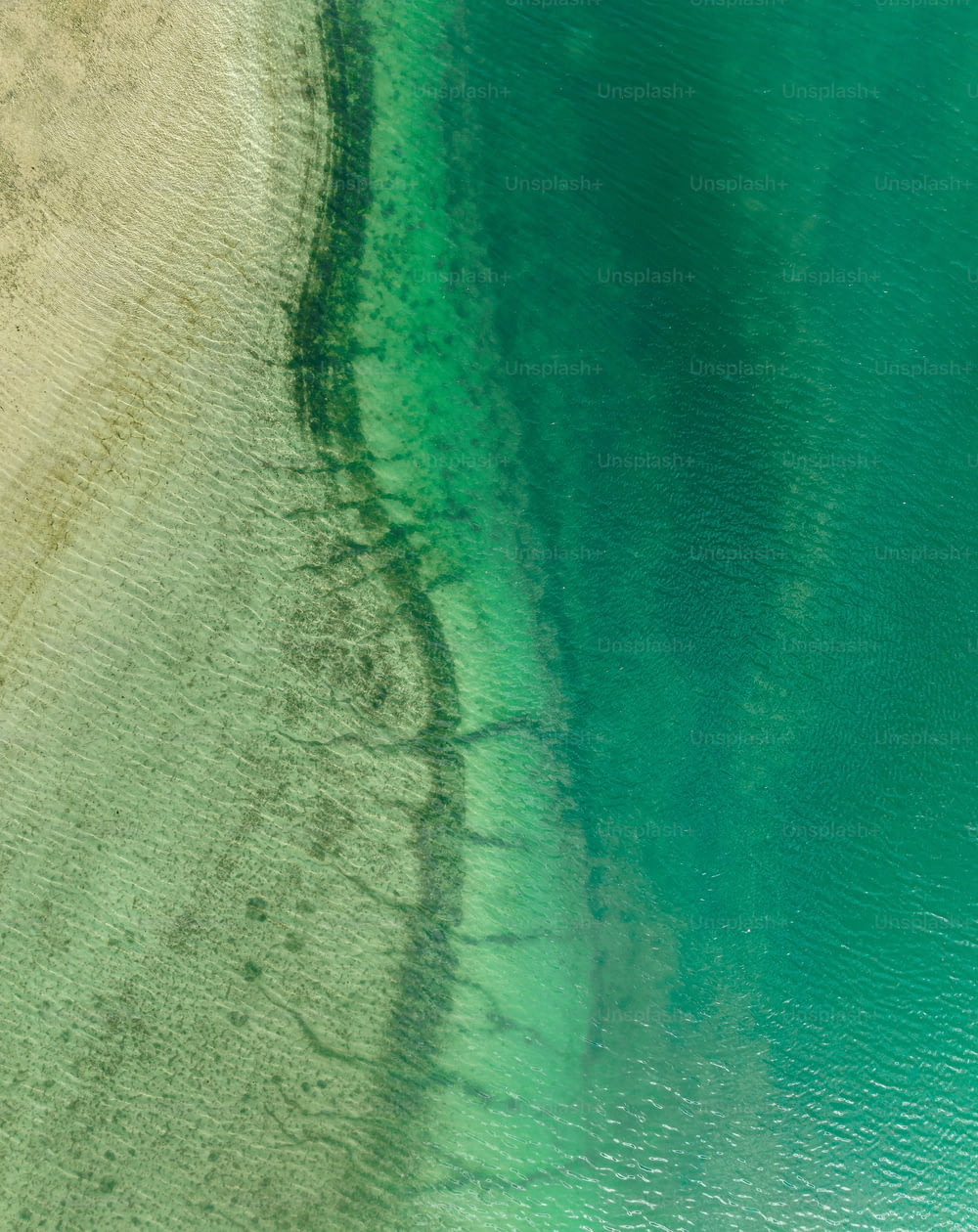 una veduta aerea di una spiaggia e di uno specchio d'acqua