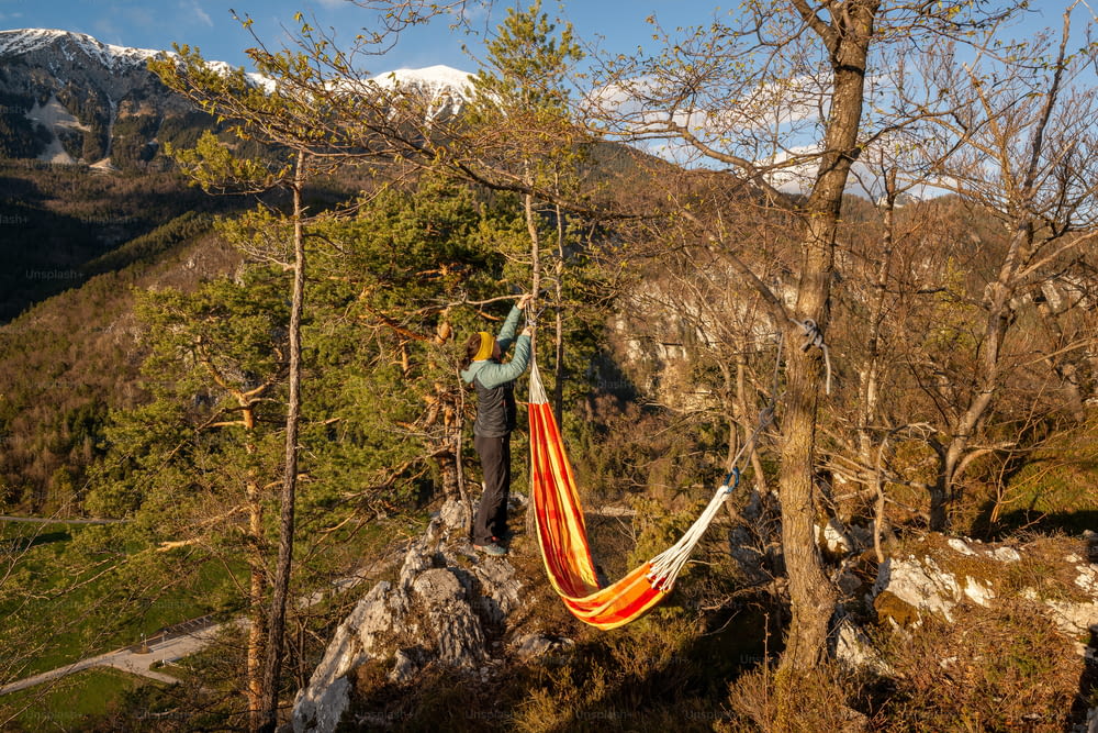 a man in a hammock hanging from a tree