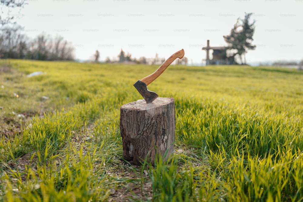 an axe stuck in a tree stump in a field