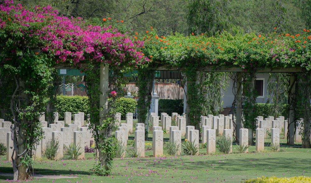 un cimitero con molte lapidi e fiori che crescono su di esso