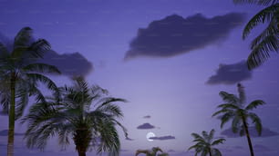 uma lua cheia é vista atrás de palmeiras