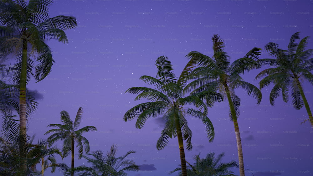 a group of palm trees under a purple sky
