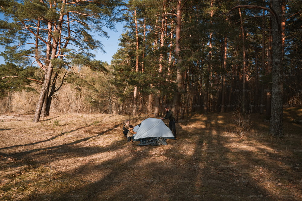 a tent pitched up in the middle of a forest