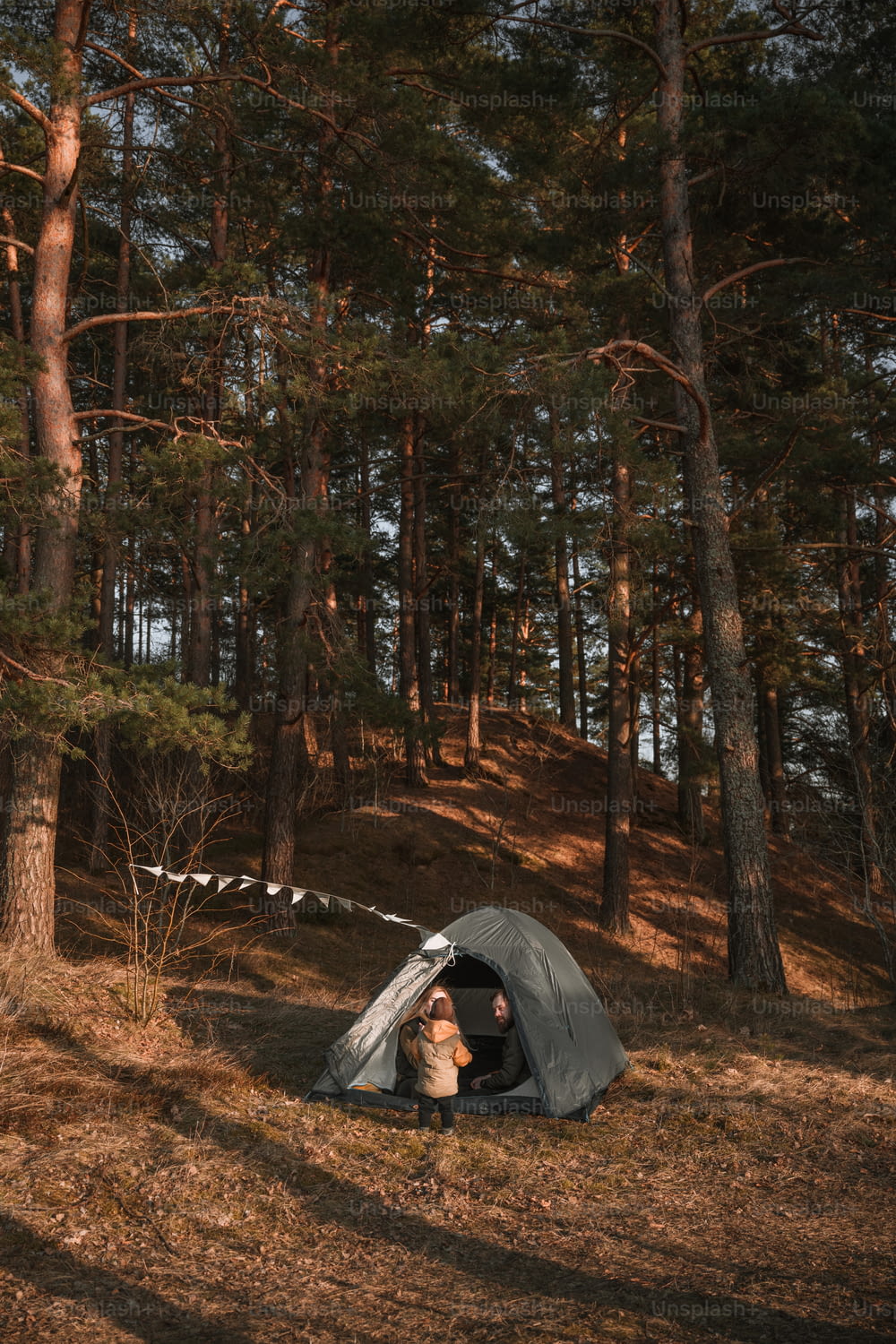 a person sitting inside of a tent in the woods