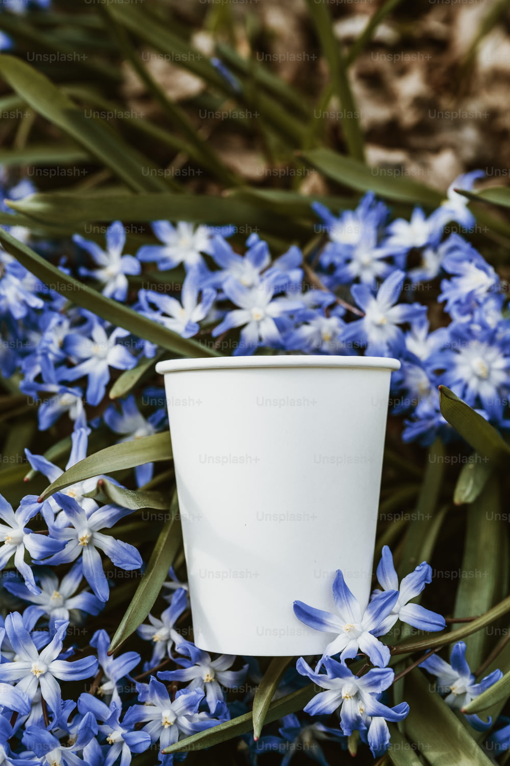 a white cup sitting on top of blue flowers
