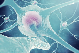 신경계의 뉴런 신경 세포의 3D 그림