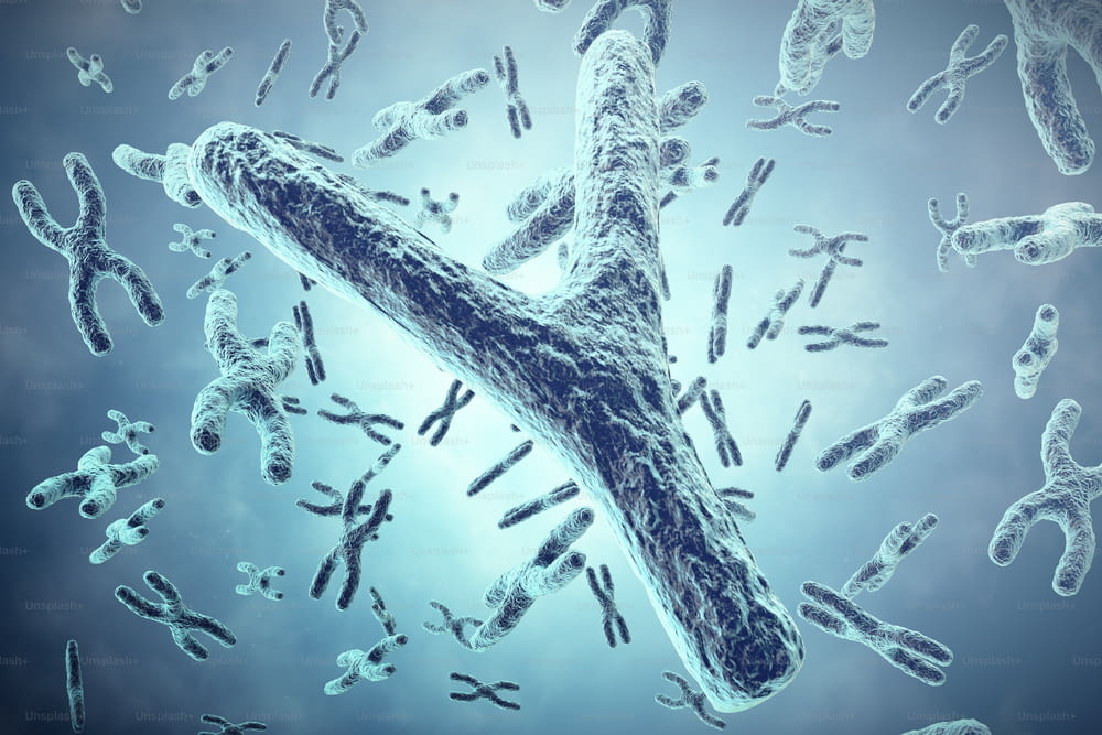 Y Chromosome in the foreground, a scientific concept. 3d illustration