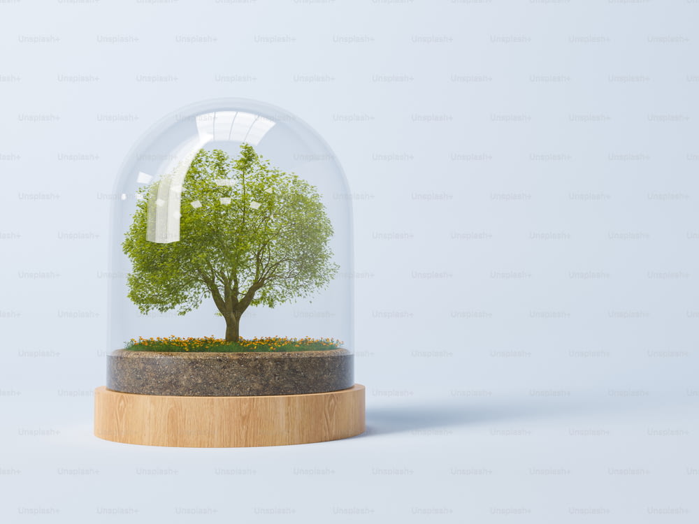 Ilustración renderizada en 3D de árboles que crecen bajo cúpula sobre fondo azul para el concepto de protección del medio ambiente y preservación de la naturaleza.