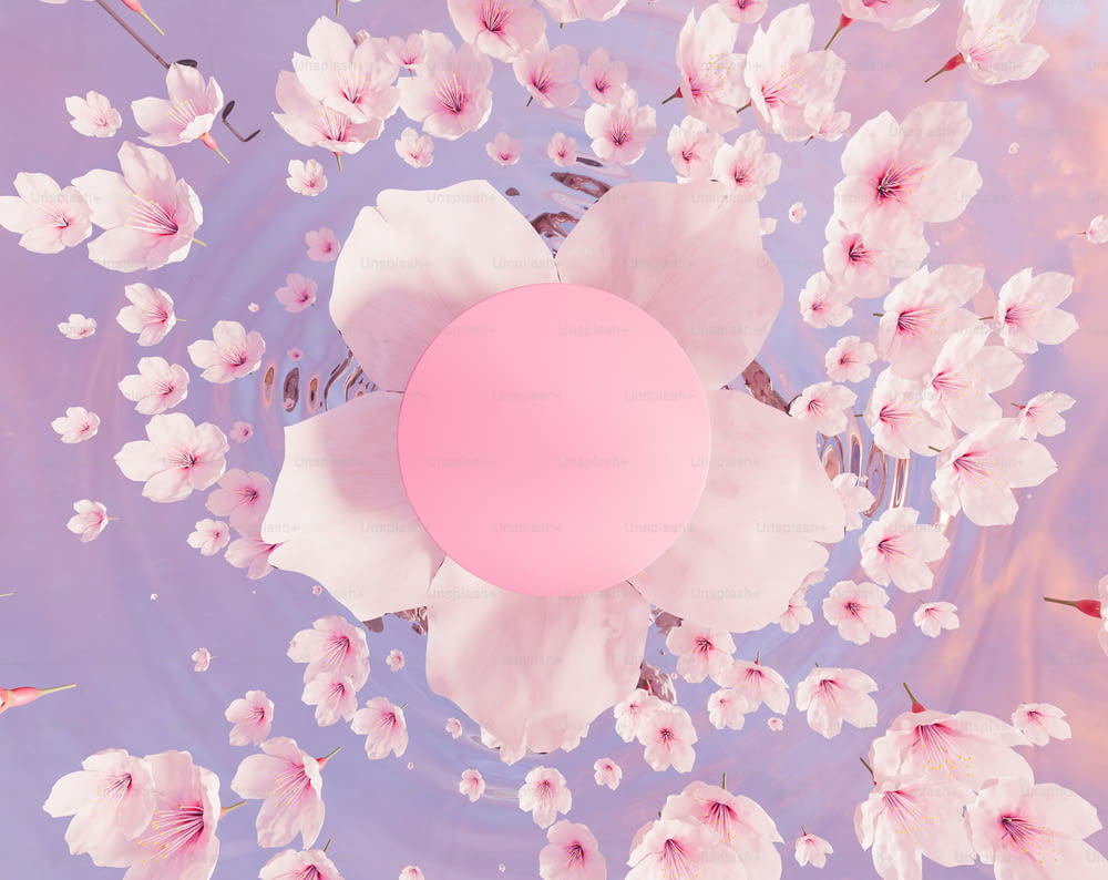vista superior de uma flor de cerejeira com um círculo vazio no centro e muitas flores caindo na água. suporte de produto. Renderização 3D