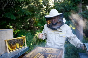 Retrato da vista frontal do apicultor do homem que trabalha no apiário.